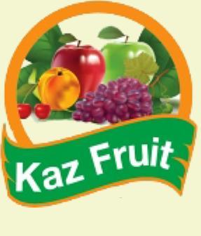 Logo Logo